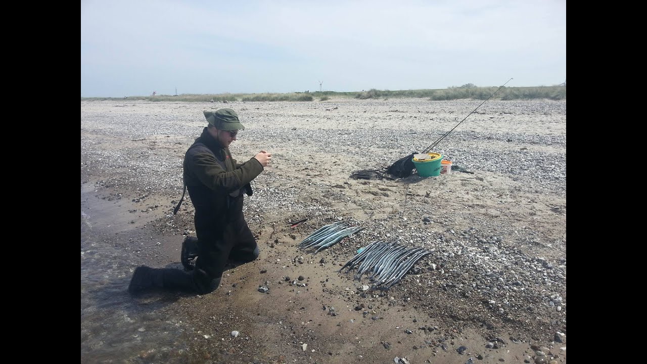 Hornhecht Challenge Fehmarn Fischfetzen vs. Blinker mit Seide