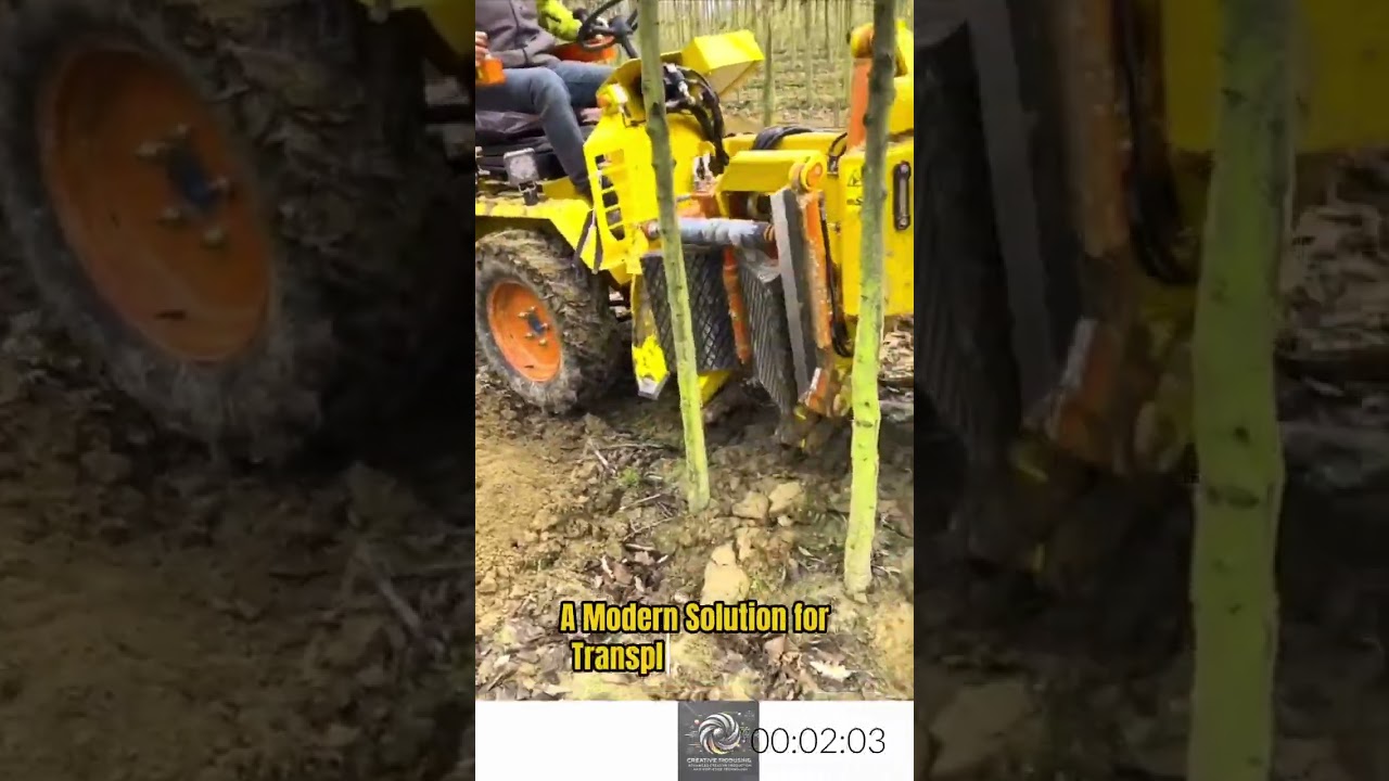 Tree Spade: A Modern Solution for Transplanting Trees Without Damaging the Roots!