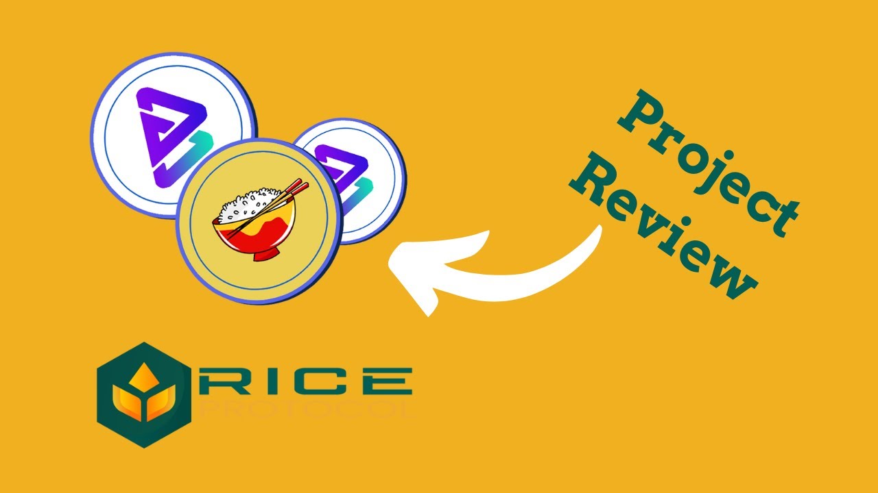 Rice Protocol - Global #Defi and #NFT Platform on Bitgert | CryptoTalk Review