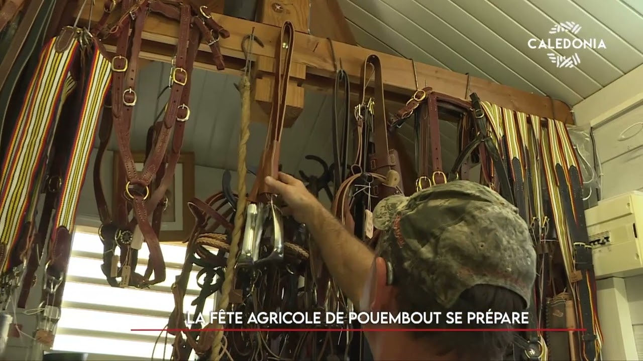 La f&ecirc;te agricole de Pouembout se pr&eacute;pare