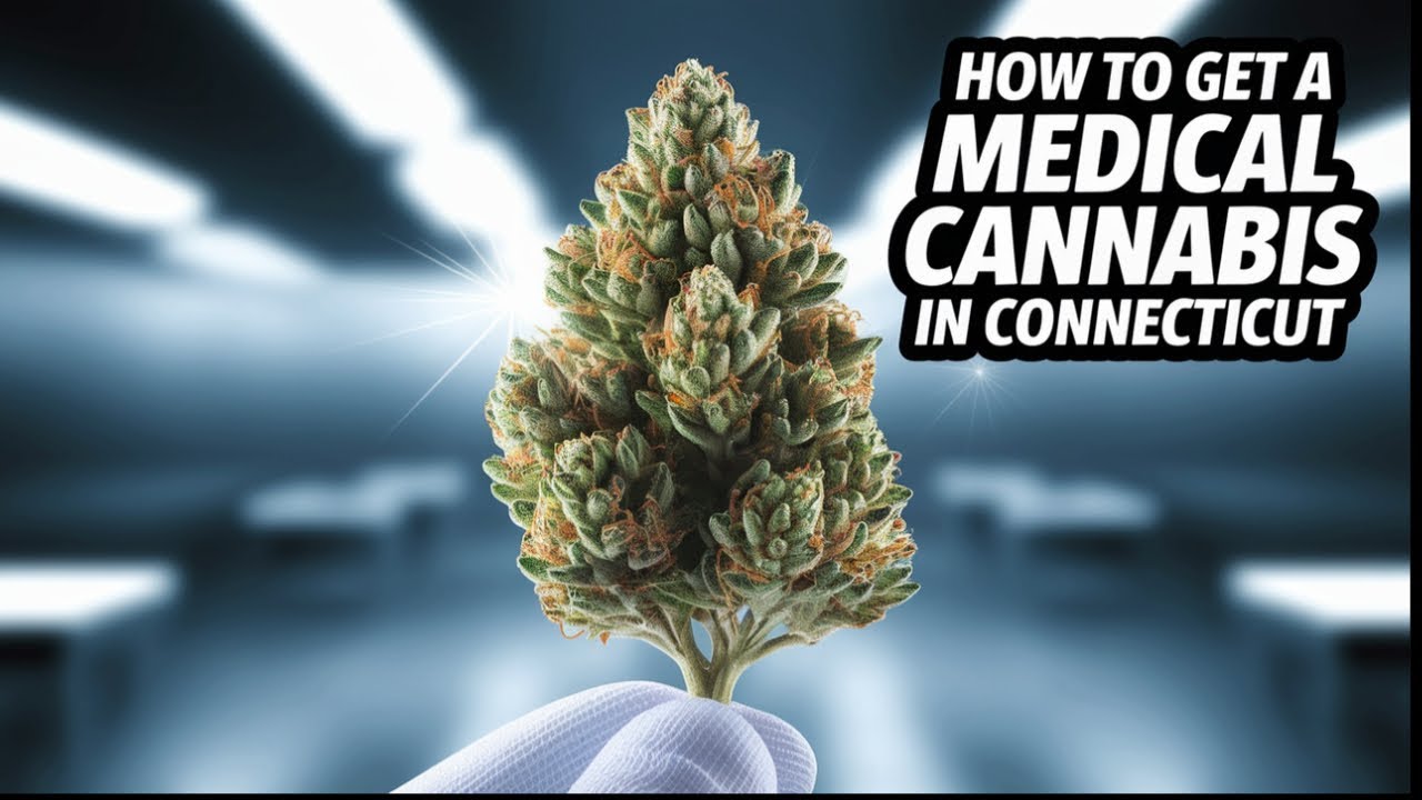 How to get a medical cannabis card in Connecticut