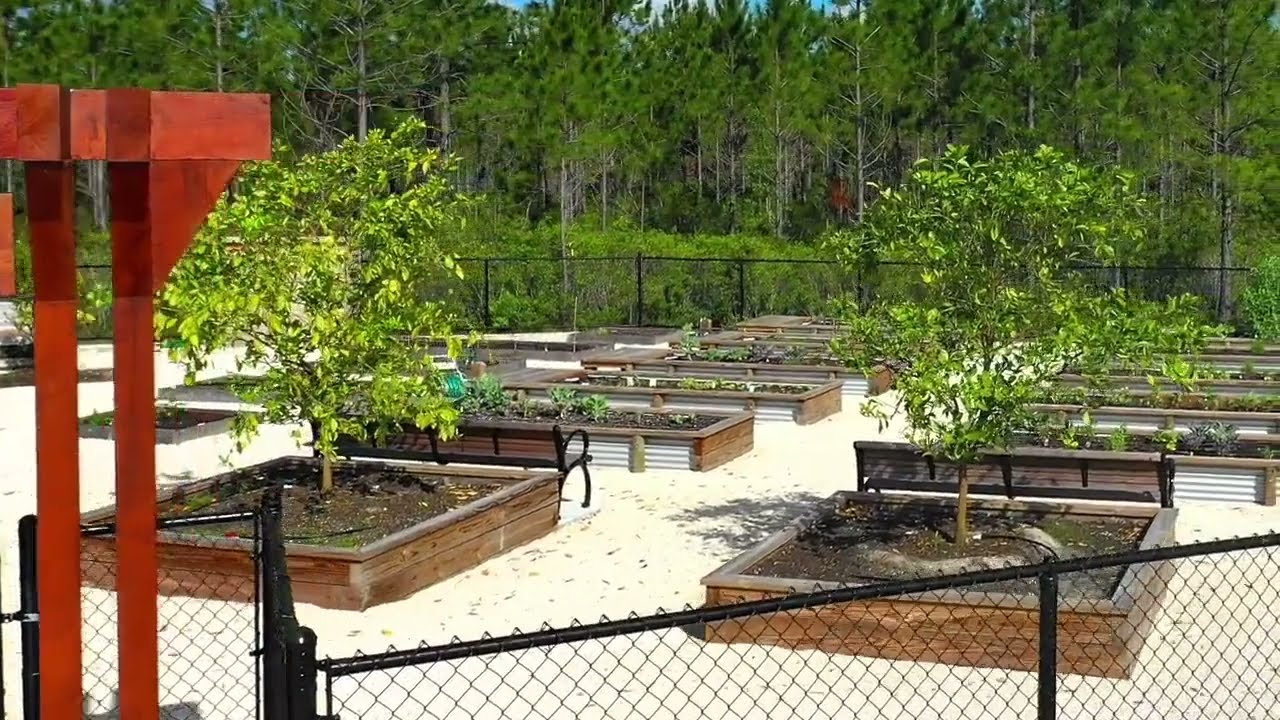Shearwater Community Garden | Discover Amenities at Shearwater