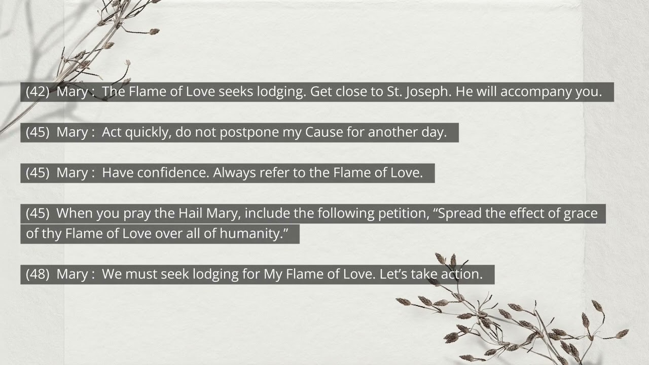 Taken From The Book Of Elizabeth Kindelmann Chapter 2