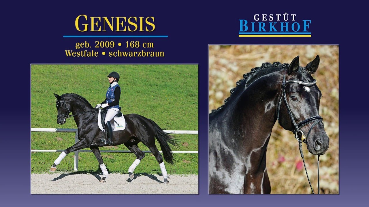 Genesis 2016