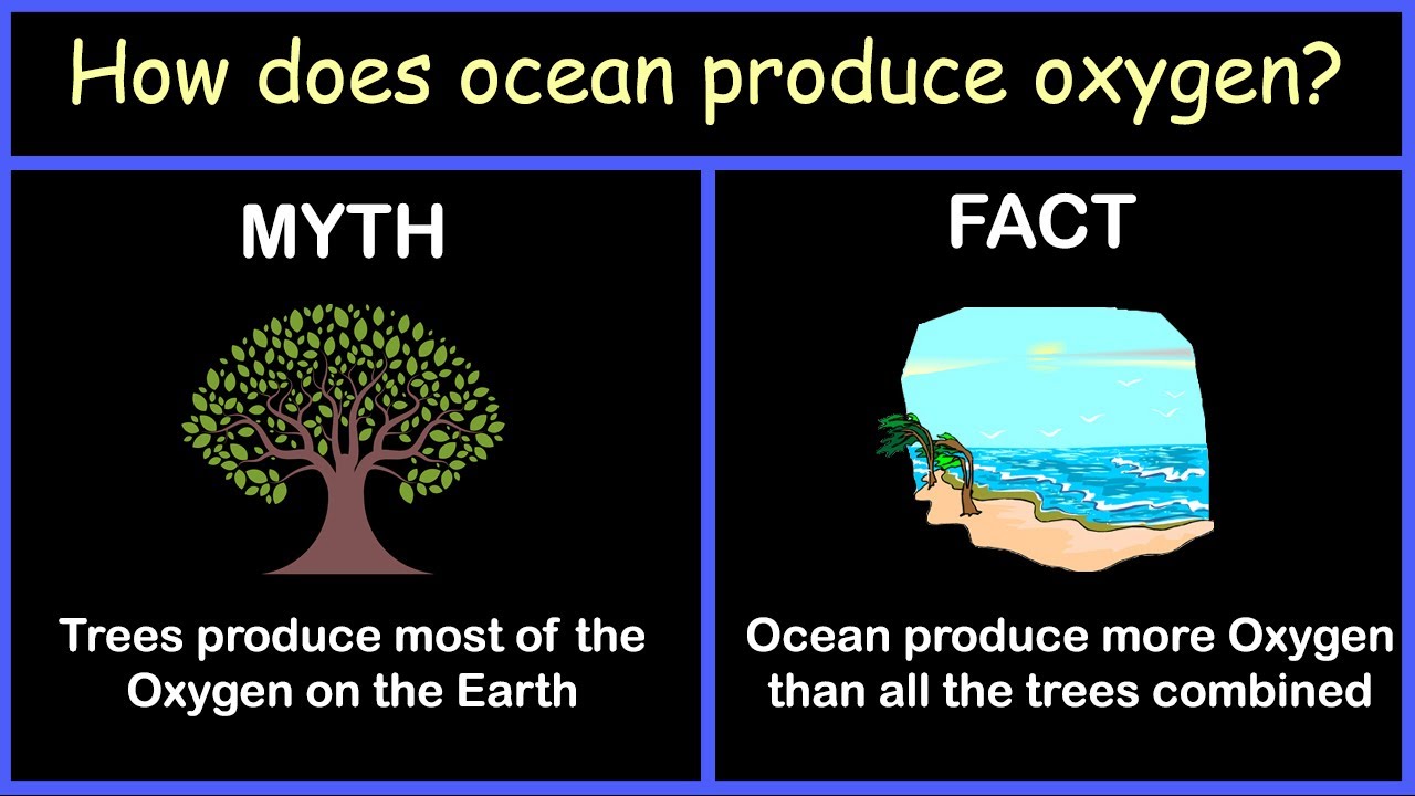 How does ocean produce oxygen?