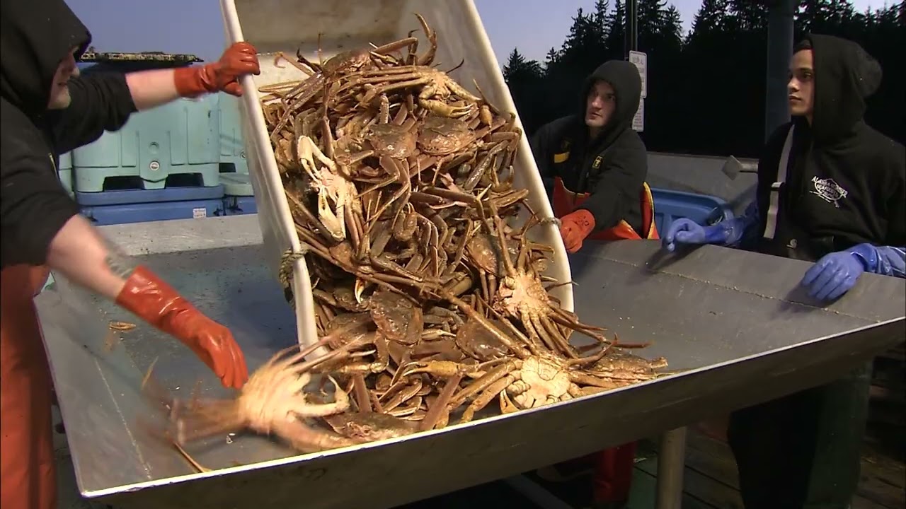 Seafood Processing Orientation