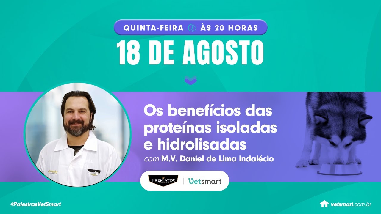 Os benefícios das proteínas isoladas e hidrolisadas