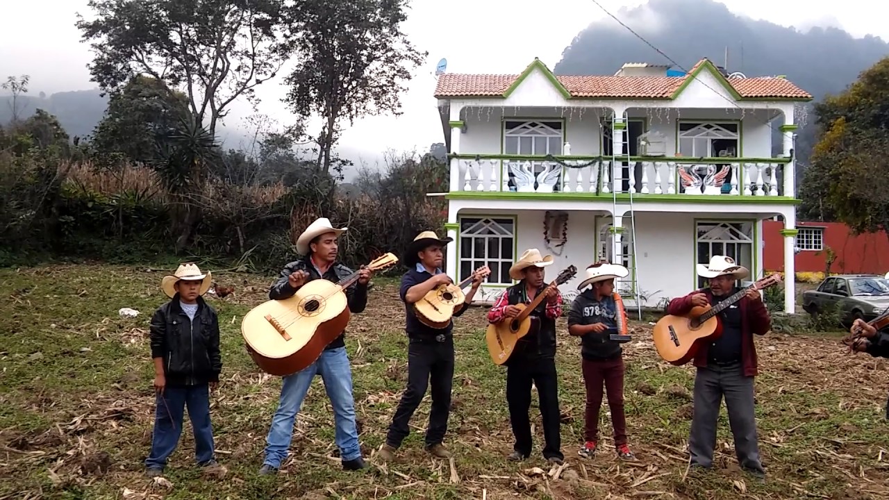 Los Barranque&ntilde;os Musical