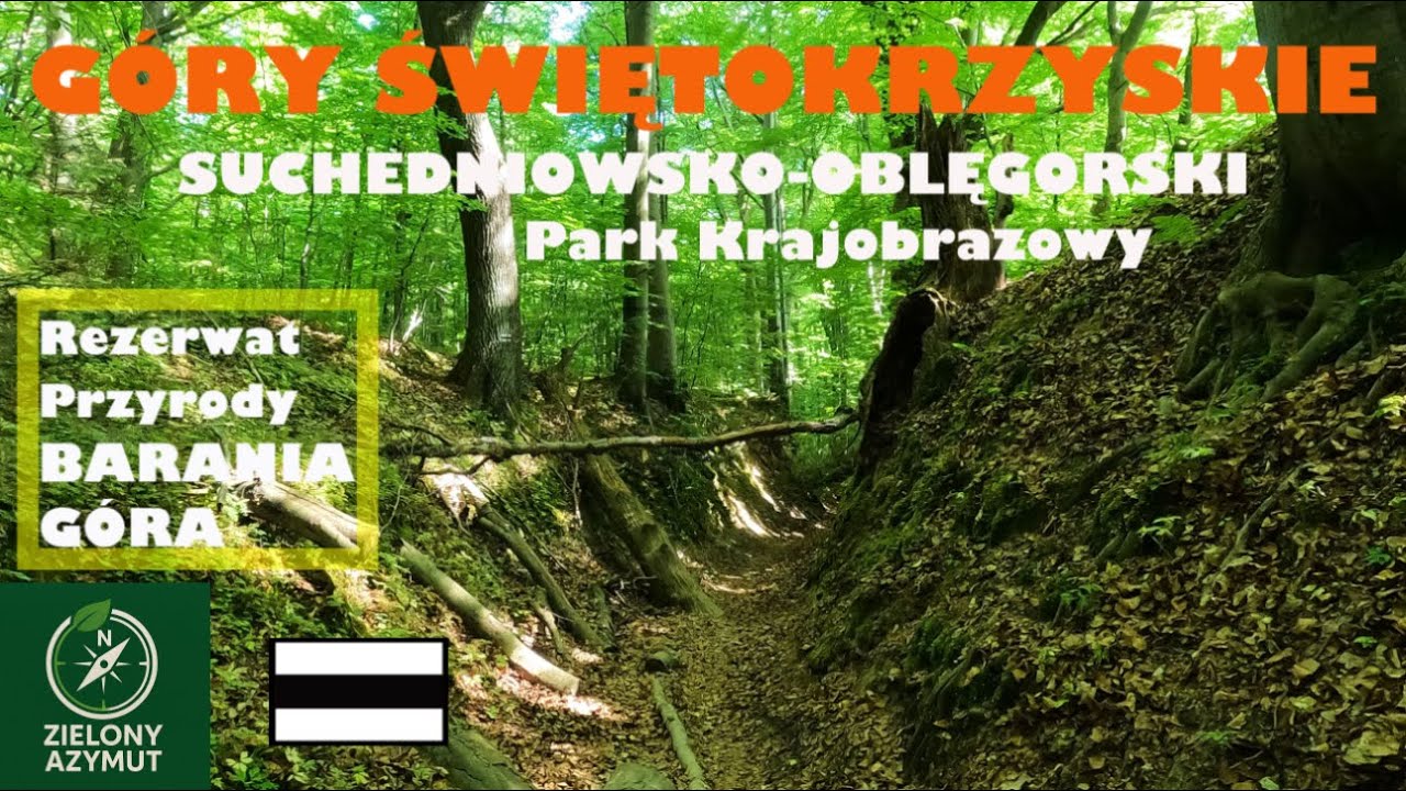 Rezerwat Przyrody BARANIA GÓRA  Pasmo OBLĘGORSKIE  Góry ŚWIĘTOKRZYSKIE  SUCHEDNIOWSKO-OBLĘGORSKI P K
