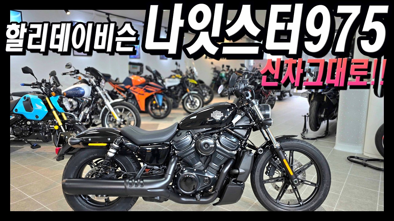 ■계약중■강력한 신형엔진!! 할리데이비슨 나잇스터975 26년 1월출고~