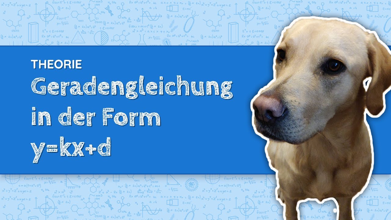 Geradengleichung in der Form y=kx+d