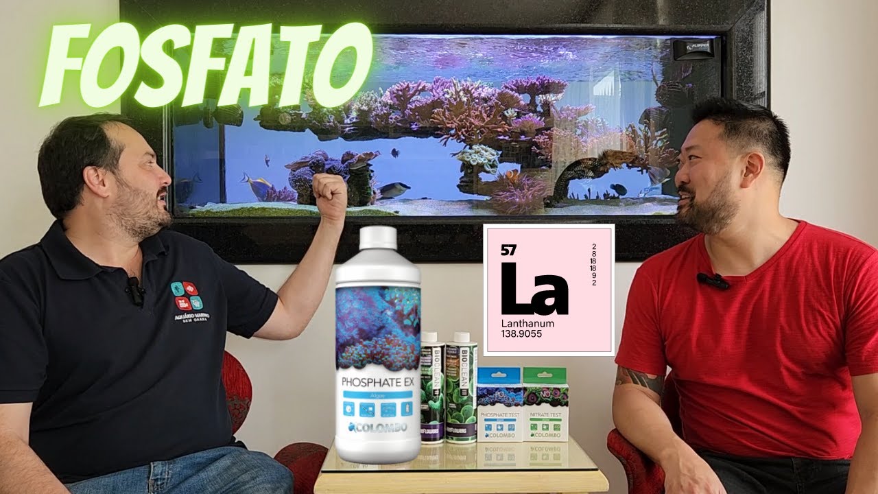 Um removedor de fosfato realmente eficiente e instantâneo ! A  base de lantânio !