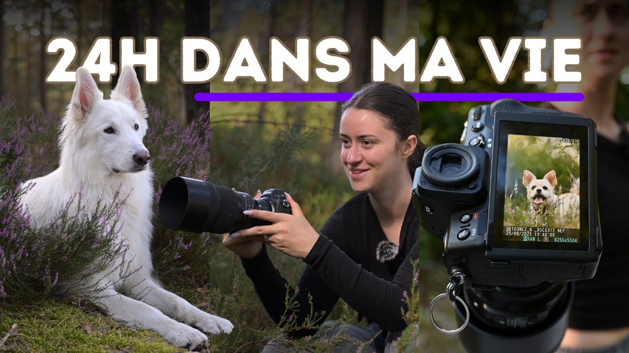 Vlog : 24h dans la vie d’une photographe canine 🐾 | Entre shootings, balades & vie avec mes chiens