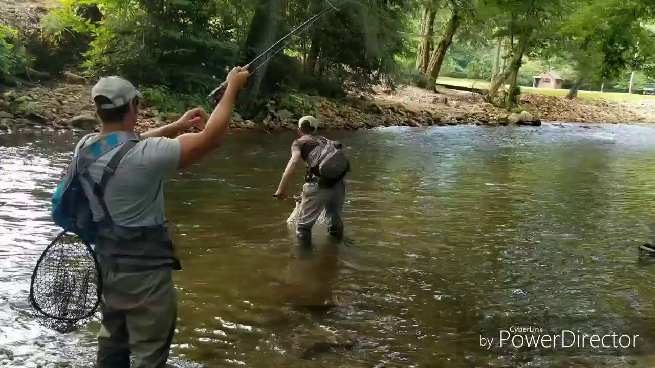 Huge brown Trout blue ridge georgia