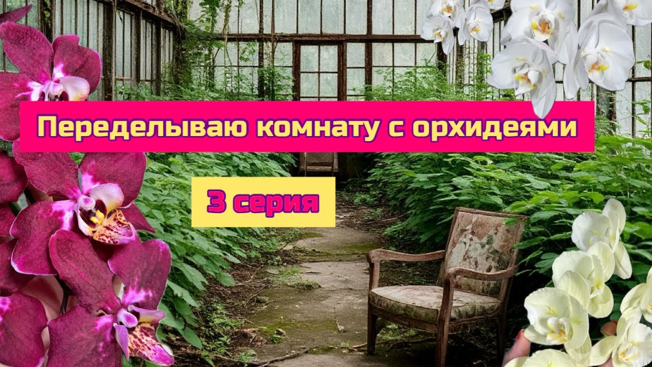 Ремонт в комнате с орхидеями 3 серия . Растения в интерьере #орхидеи #фаленопсис #квартирныйвопрос