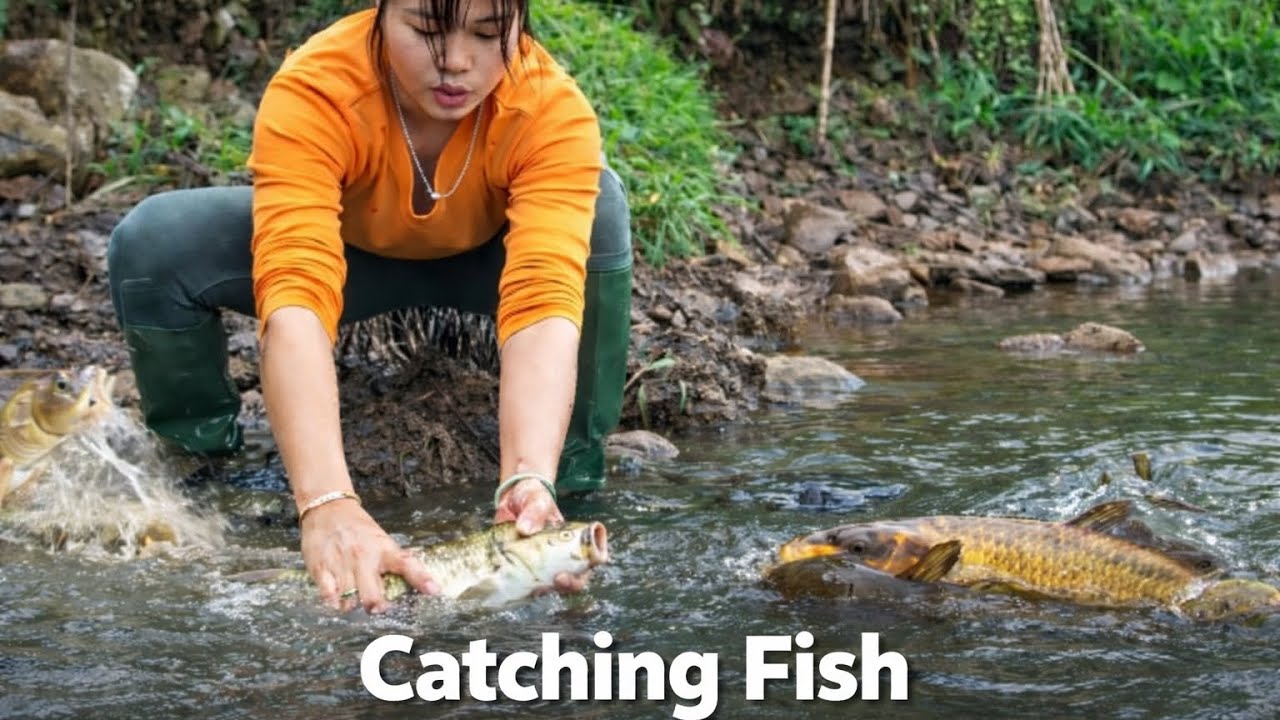 Primitive Fishing Skills | Girl Catches Fish in Stream
