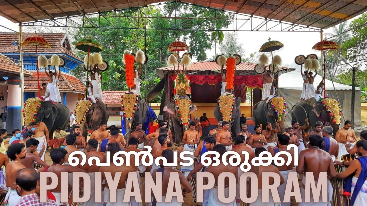 Pidiyana Pooram | Edapally Cheranallur Karthyayini Bhagavathi Temple festival 2022 | MA Square ||