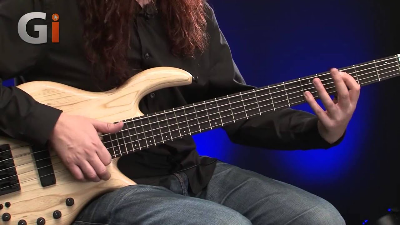 Elrick Expat eVolution 5-String Bass Guitar Review