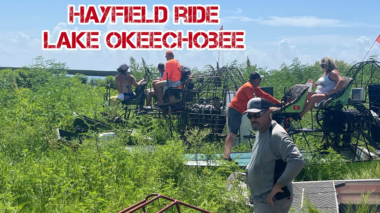 Прогулка на аэролодке - Сенокос на озере Окичоби