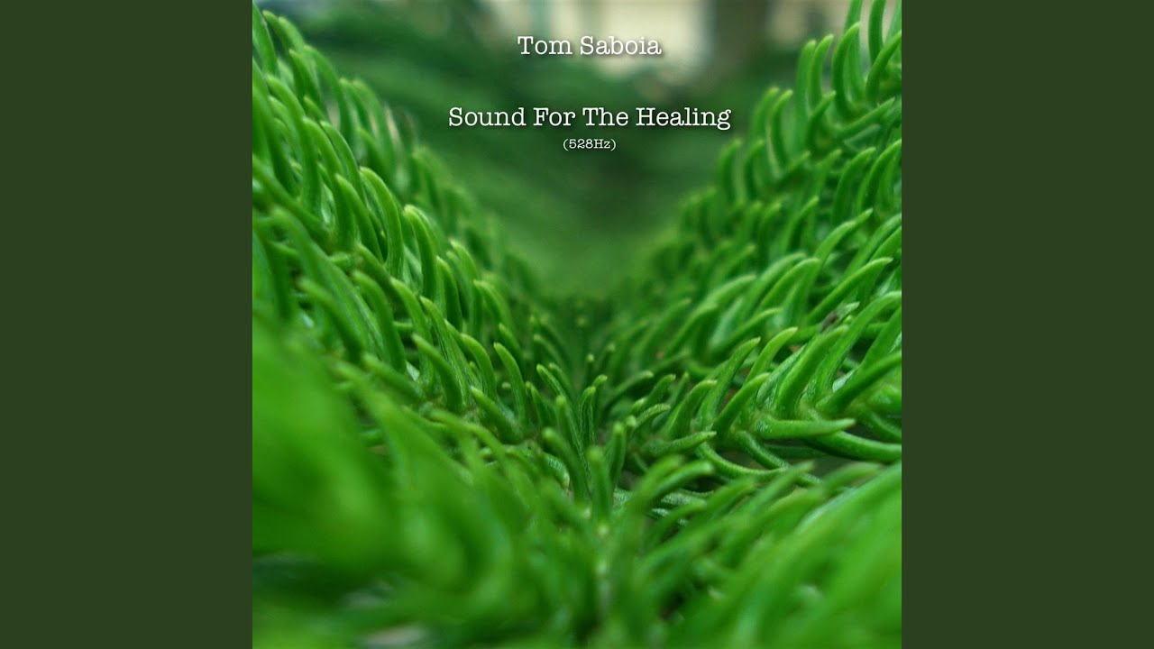 Sound For The Healing (528Hz)