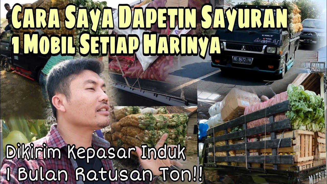 Usaha Modal Kecil MENJAJIKAN,TIPS Sukses BISNIS Sayur,Di Kirim Kepasar INDUK
