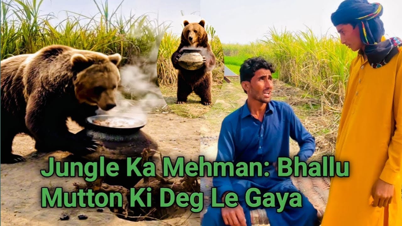 Jungle Ka Mehman: Bhallu Mutton Ki Deg Le Gaya#funny #comedy#pakistan 