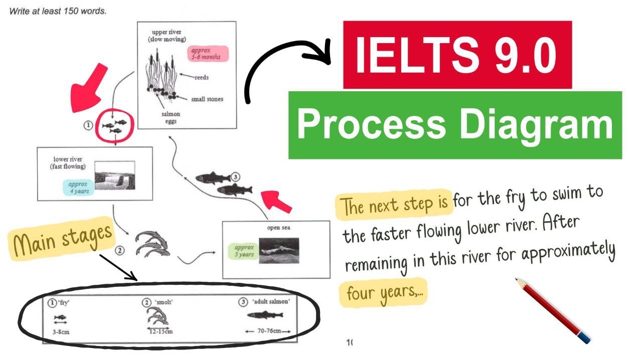 Band 9 Strategy to Answer IELTS Task 1 Process Diagram