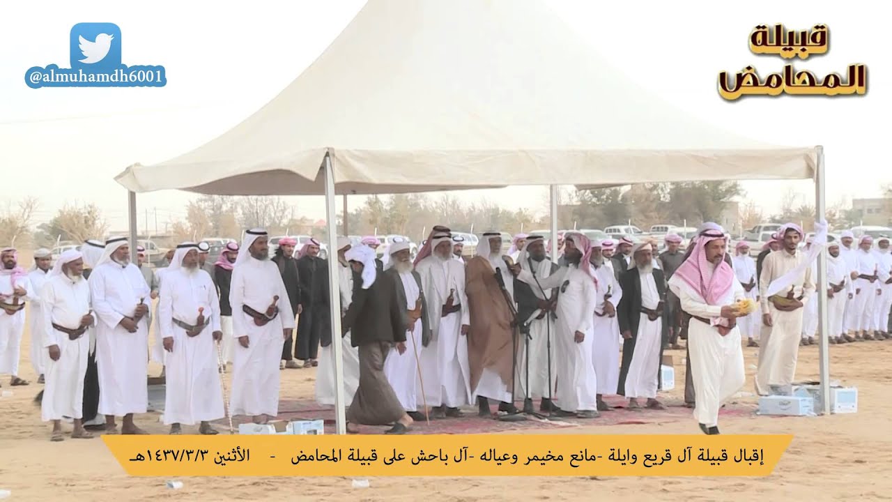 إقبال قبيلة آل قريع وايلة  مانع مخيمر وعياله  آل باحش على قبيلة المحامض