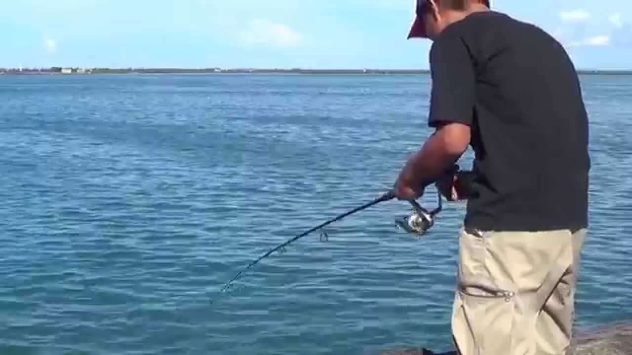 Danggit (Rabbit Fish) Fishing Part 2