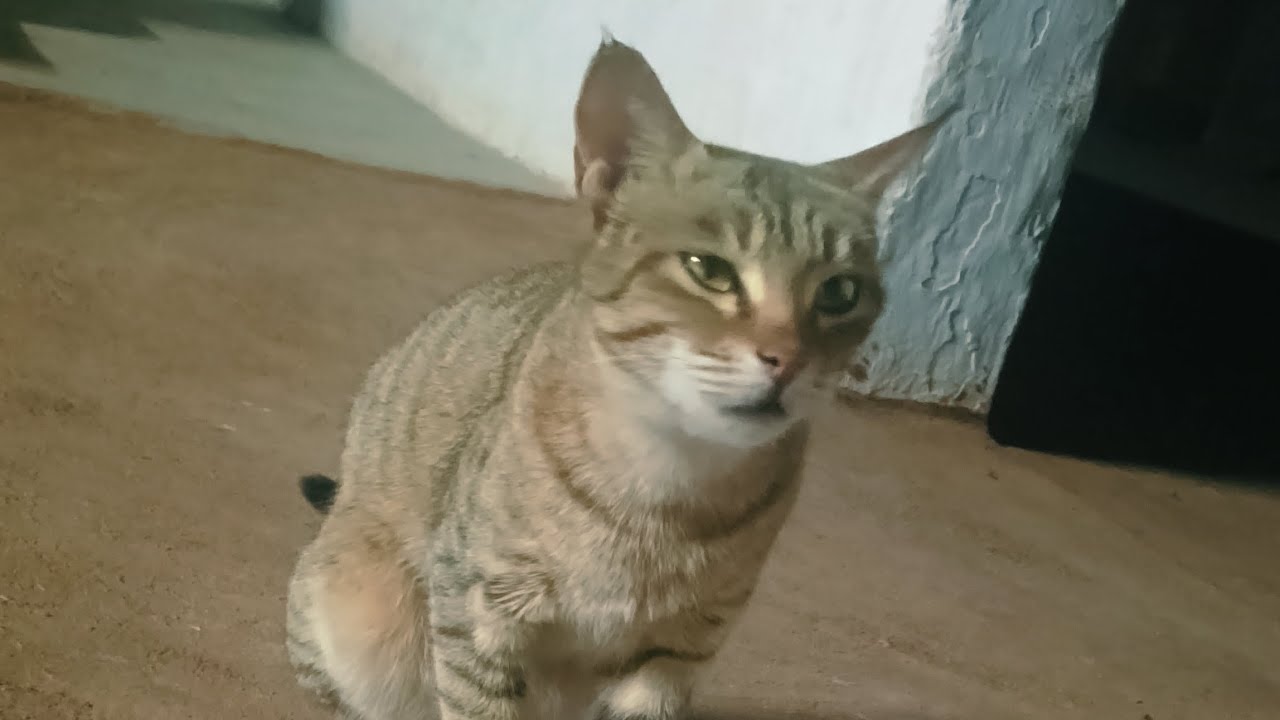 Ghar ka mahol or bahar ka view !