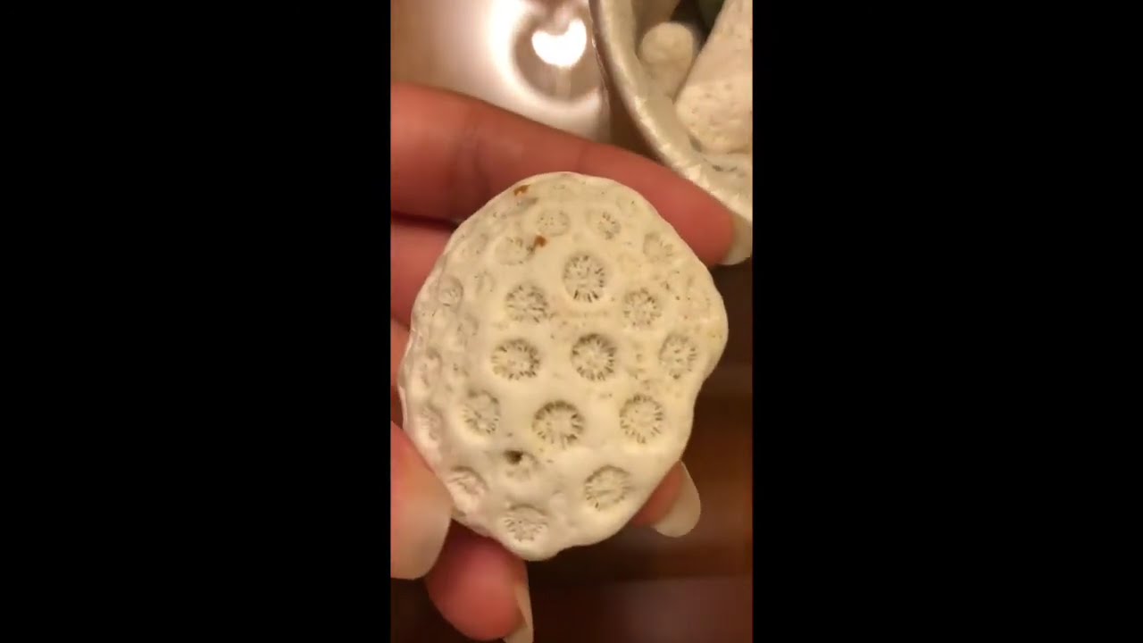 ASMR Show & Tell: Tapping on Rocks, Shells, Glass, & Wood