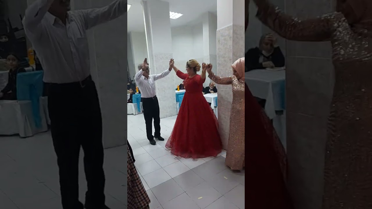 metin söğüt