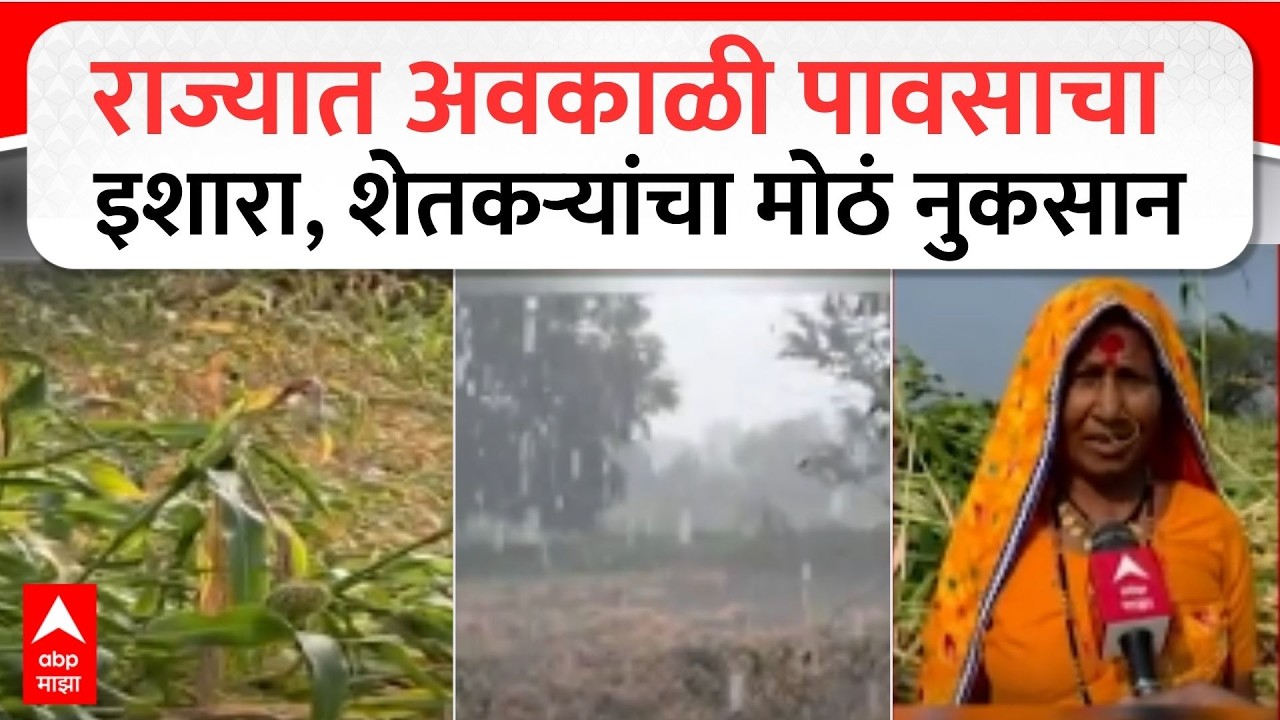 Avakali Rain : राज्यात अवकाळी पावसाचा इशारा, शेतकऱ्यांचा मोठं नुकसान