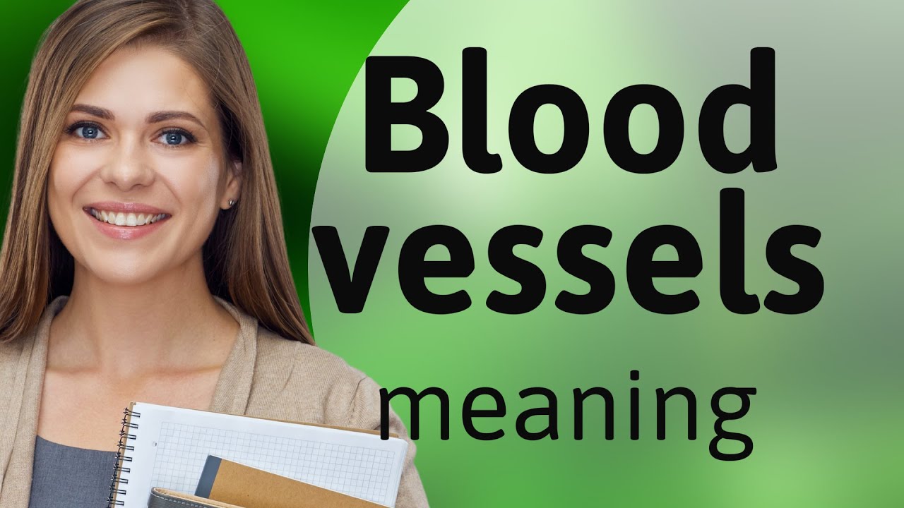Understanding Blood Vessels: A Guide for English Language Learners
