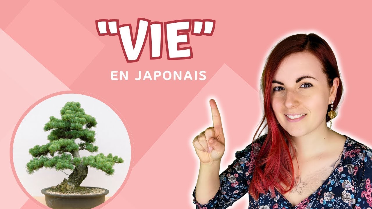Comment dire vie en japonais ? 7 façons de dire 