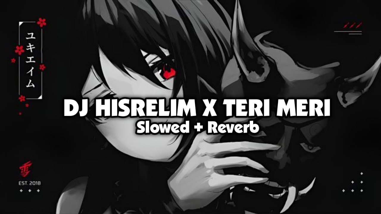 DJ HISRELIM X TERI MERI (Slowed + Reverb)
