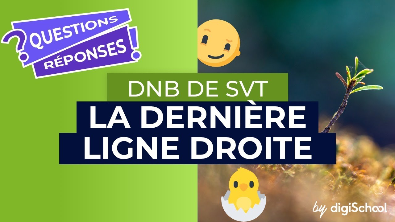 SVT : comment réussir son brevet ?