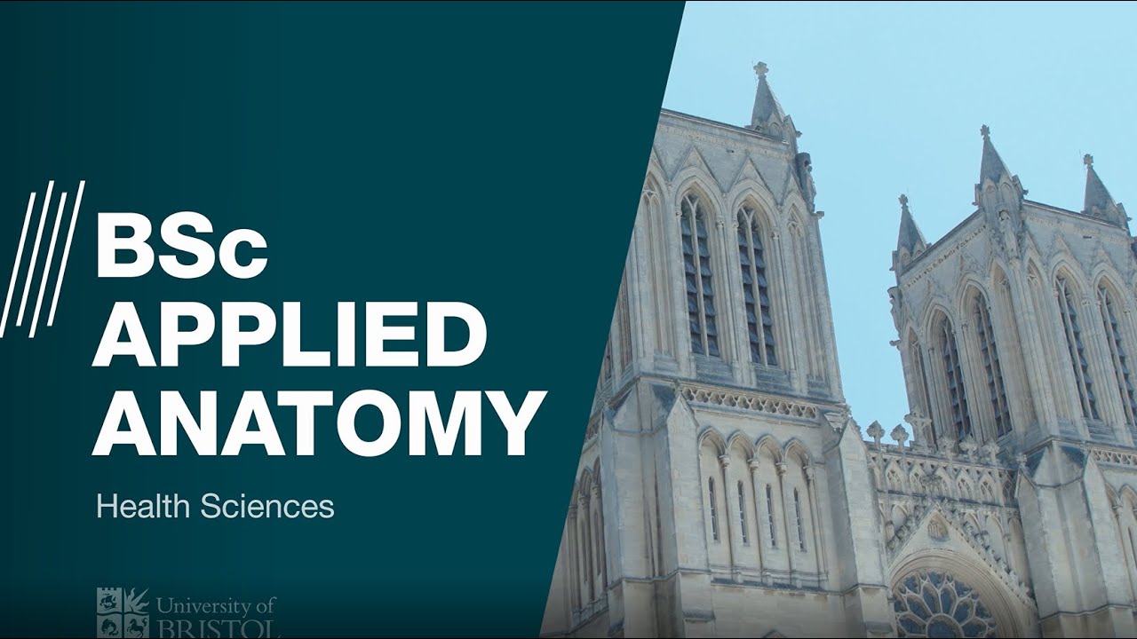 BSc Applied Anatomy at Bristol