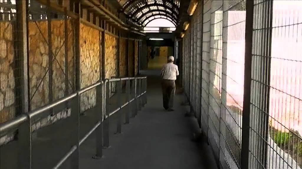 Living in East Jerusalem - 'Abd al-Fatah 'Abed Rabu
