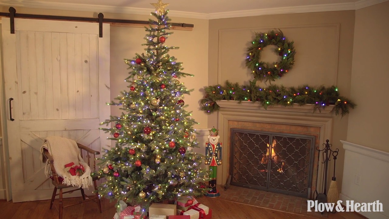 Grandis Fir Christms Trees with Dual Light Color Function