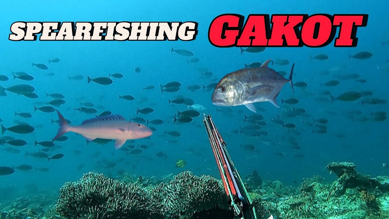SPEARFISHING GAKOT || MAY BLESSINGS PAGBALIK SA GAKOT || GIANT TREVALLY!
