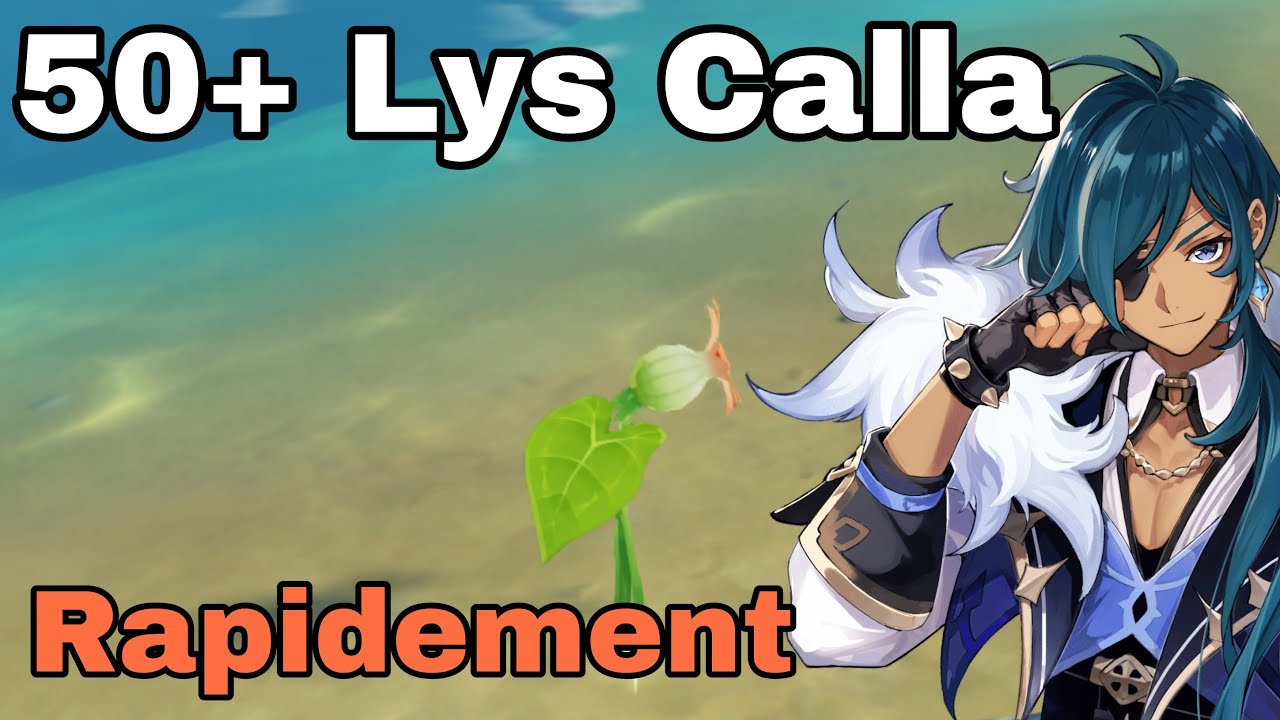 50+ LYS CALLA Guide Genshin Impact FR