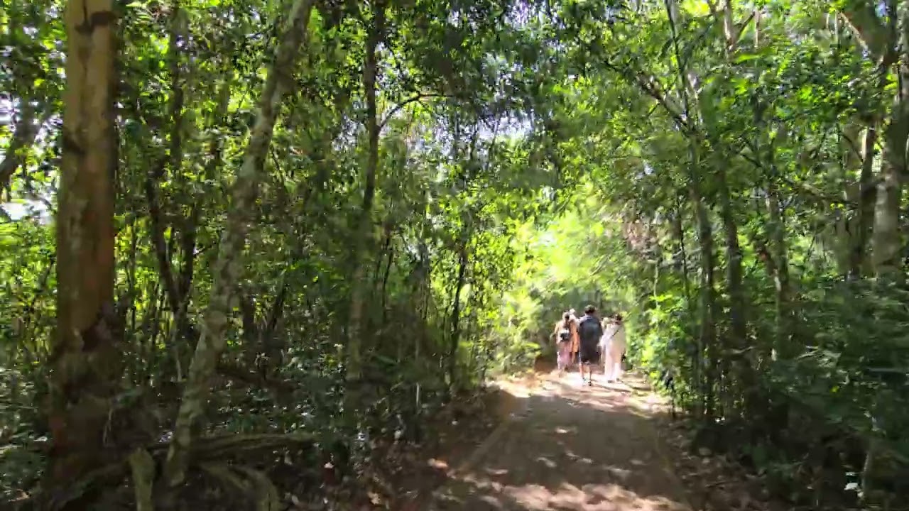 Iguazu Argentina path