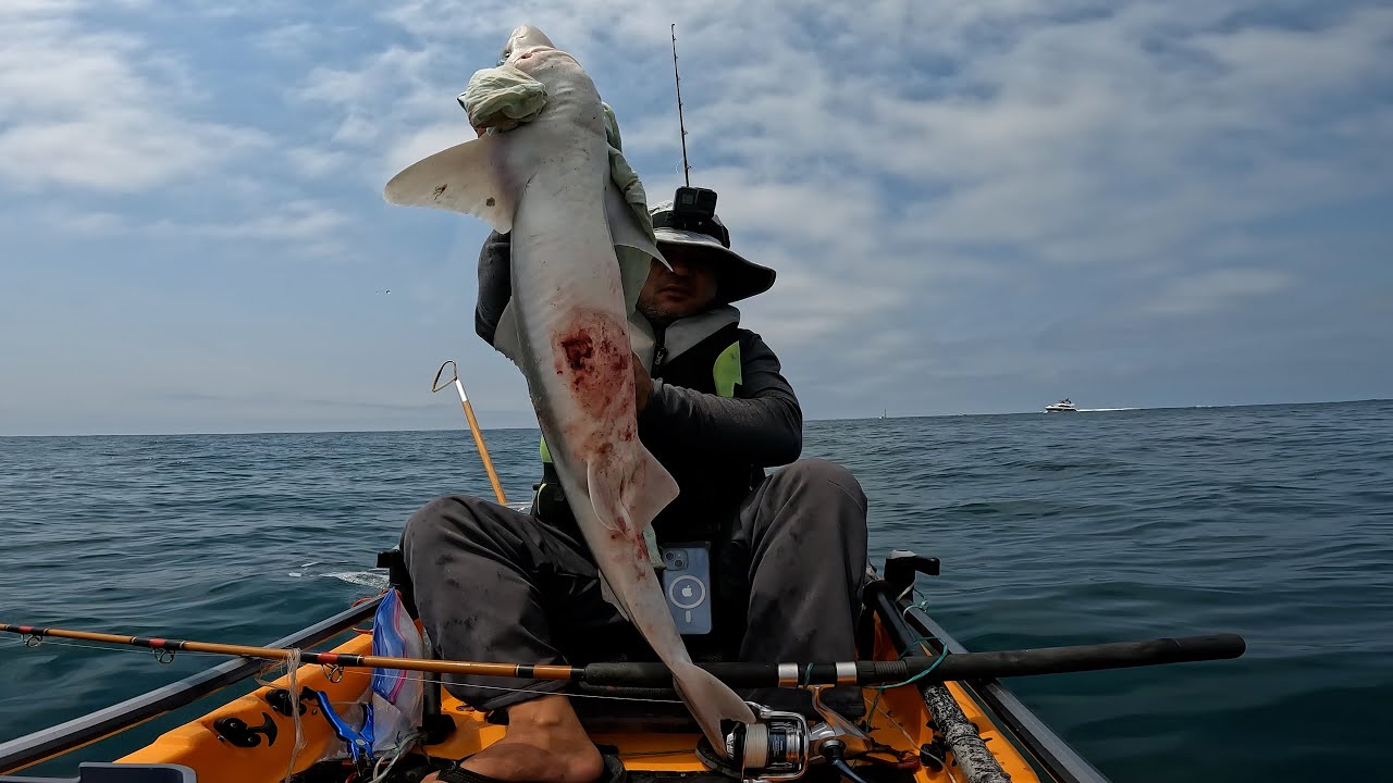 Just shut up and catch fish you talk too much says my viewer