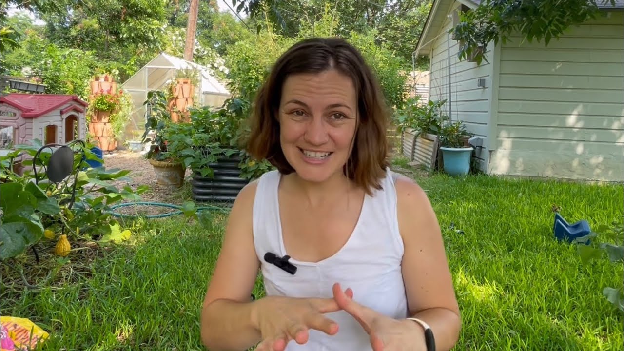 What to Plant in Texas in June (and July)￼