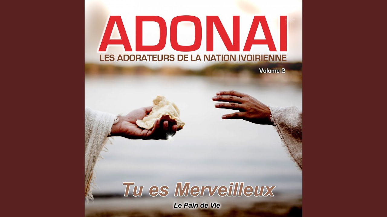 JE RAPPELLE A DIEU / T'ADORER / C'EST JESUS QUI REGNE