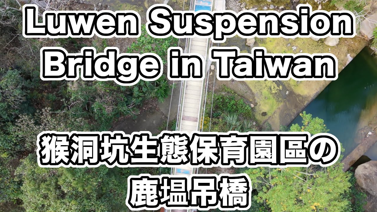 Day 97 of Travel(19) 2 Feb. 2026 Luwen Suspension Bridge in Taiwan