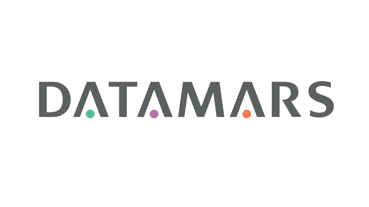 Datamars Group