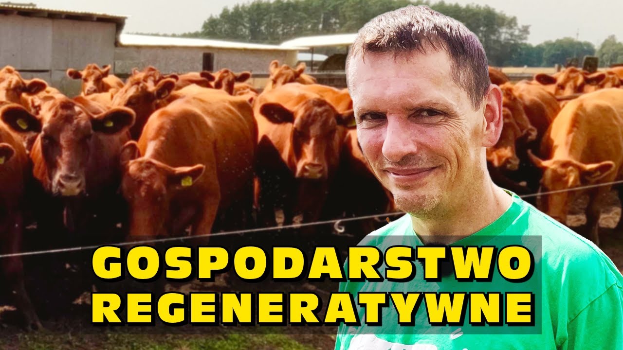 Pierwsze gospodarstwo regeneratywne w Polsce: Angus, gleba i życie, Tomasz Jakiel Lubuskie Angusowo