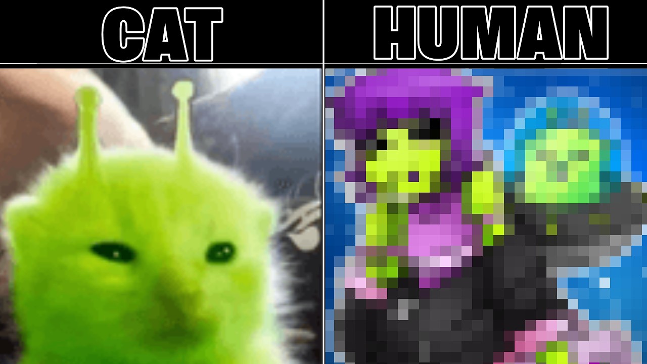Drawing Internet Cats as Human!! | Part 2